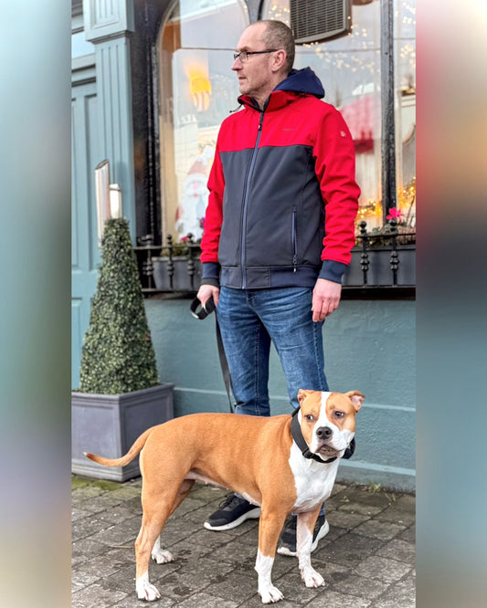 New Year's Resolutions for You and Your Dog: How to Strengthen Your Bond in 2025