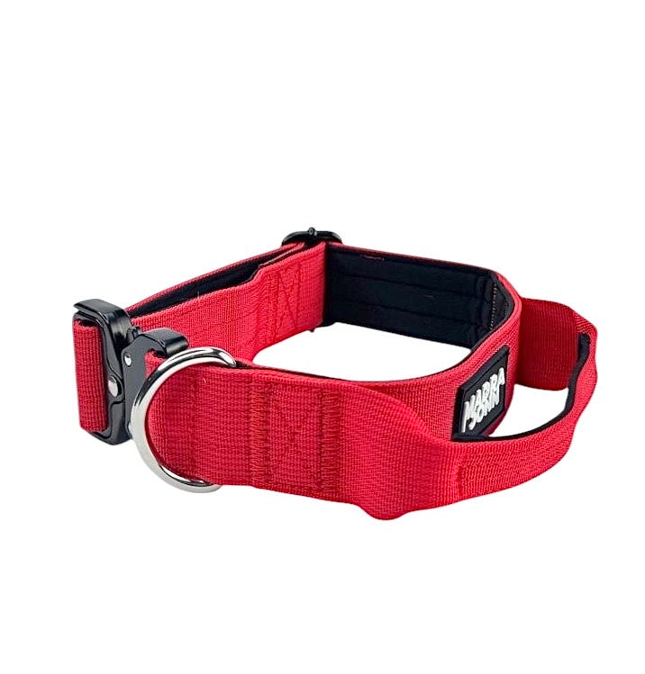 Tactic Collar 3.8 cm (1.5 in ) with handle