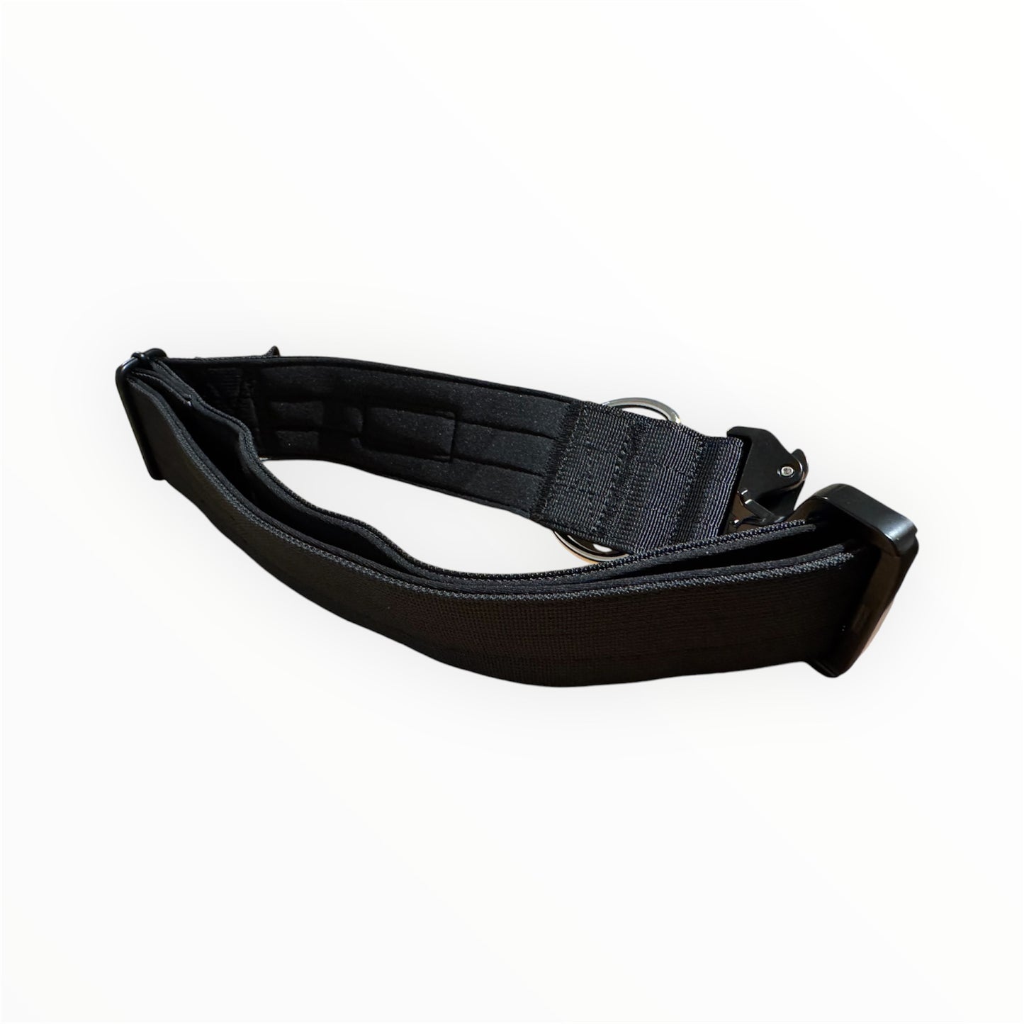 Tactic Collar 5 cm  (2 in ) with handle