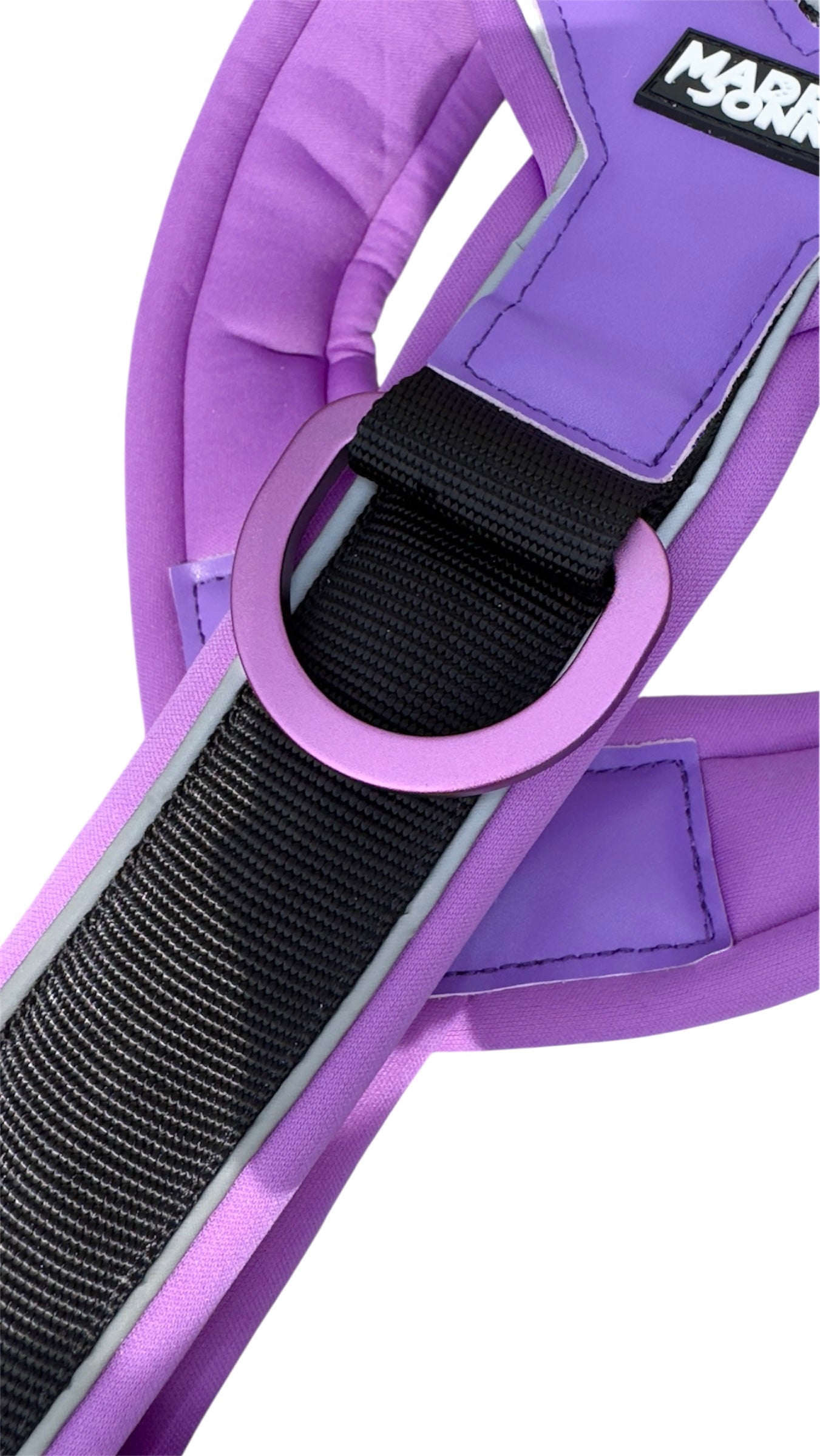 Harness