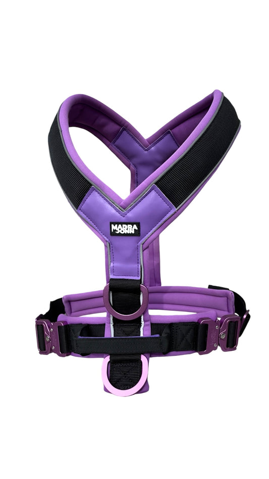 Harness