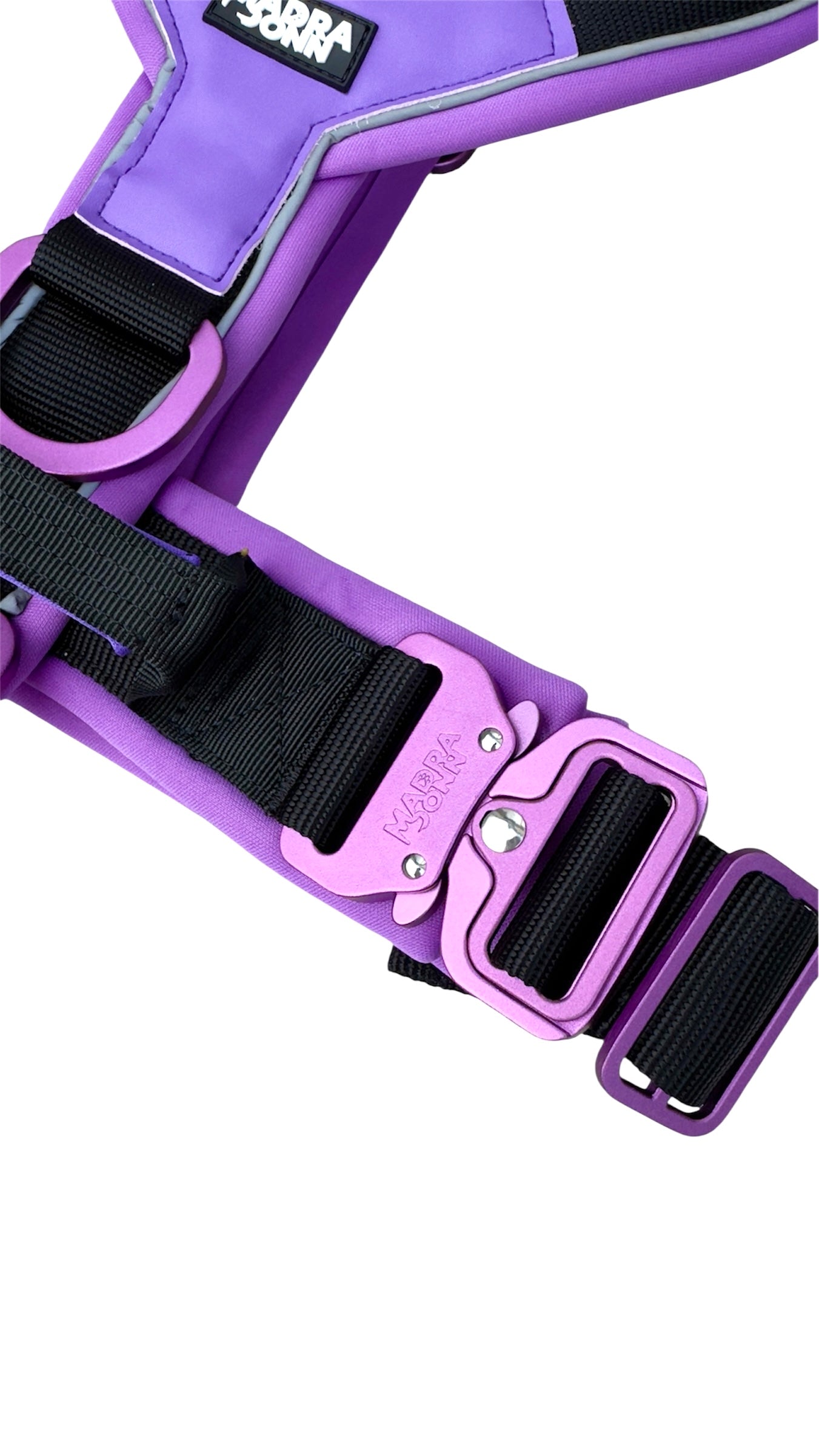 Harness